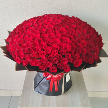 Shakespeare In Love 301 Roses